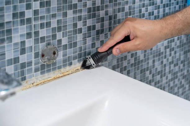 Mold Testing and Removal in Cabana Colony, FL