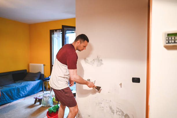 Mold Removal Process in Cabana Colony, FL